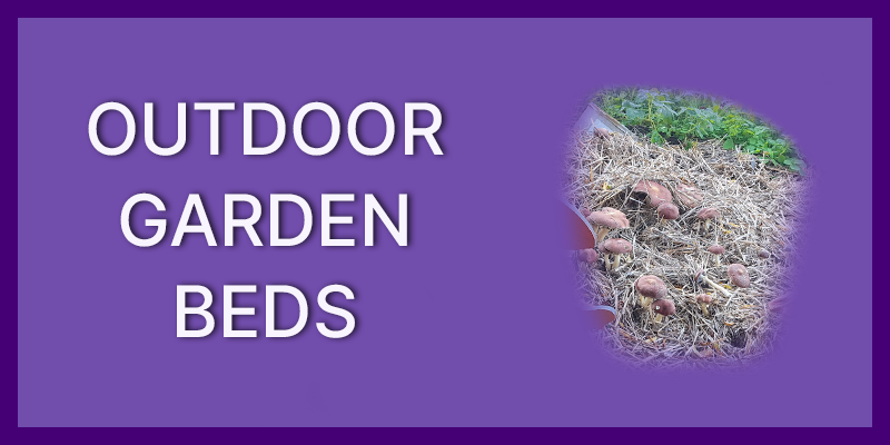 Outdoor / Garden Beds