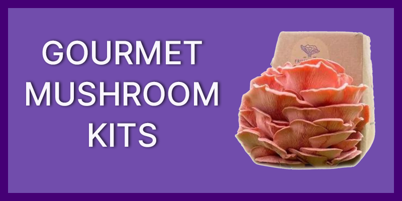 Gourmet Mushroom Kits